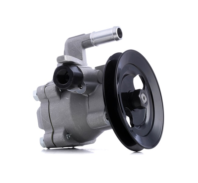 kopen online RIDEX Hydraulische pomp 12H0282 Hyundai 178,52 €