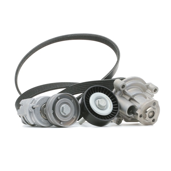 Numéro OEM 6Q0 260 849 C - Pompe à eau+Jeu de courroie trapézoïdale à nervures 4172P0055 AUDI, SEAT, SKODA