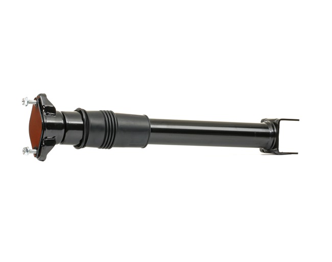 Shock absorber 854S17960 RIDEX 164 320 16 31 MERCEDES-BENZ, DAIMLER