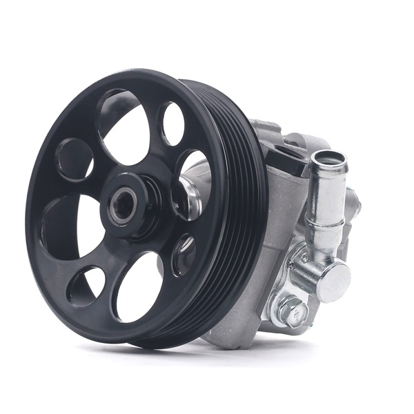 Numer OEM 48 19 561 - Pompa wspomagania 12H0285 OPEL, CHEVROLET