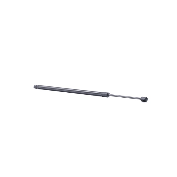 RIDEX 219G0980 Heckklappendämpfer Renault Espace 5