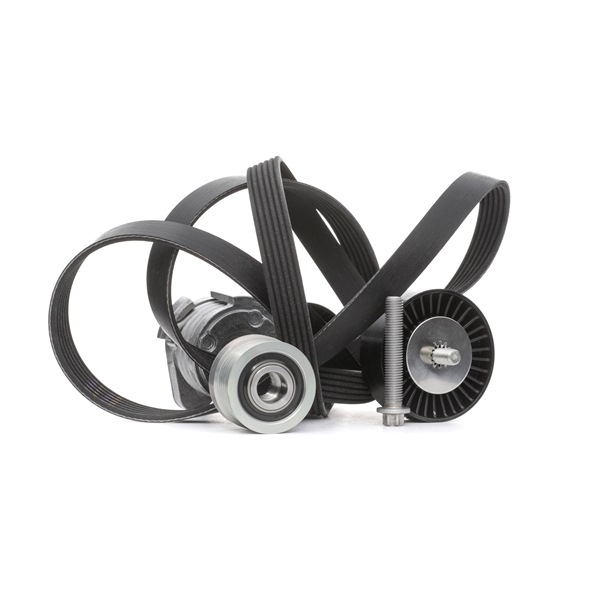 INA | Jogo De Correias Trapezoidais Estriadas com polia de roda livre 529 0043 20 BMW 1 Hatchback (E81) 2006 baratos online