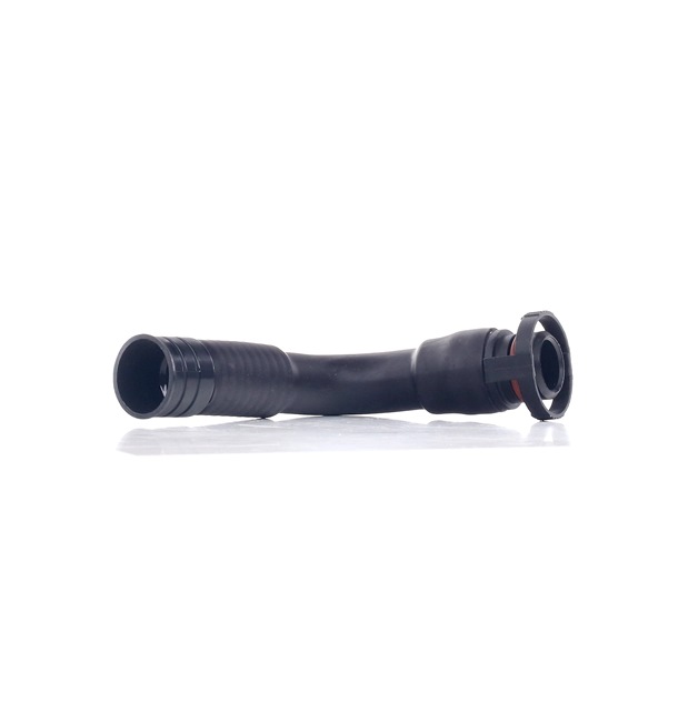 RAPRO R25302 reniflard d'huile SEAT Toledo II Berline (1M2) 1.9 TDI 101CV 2006