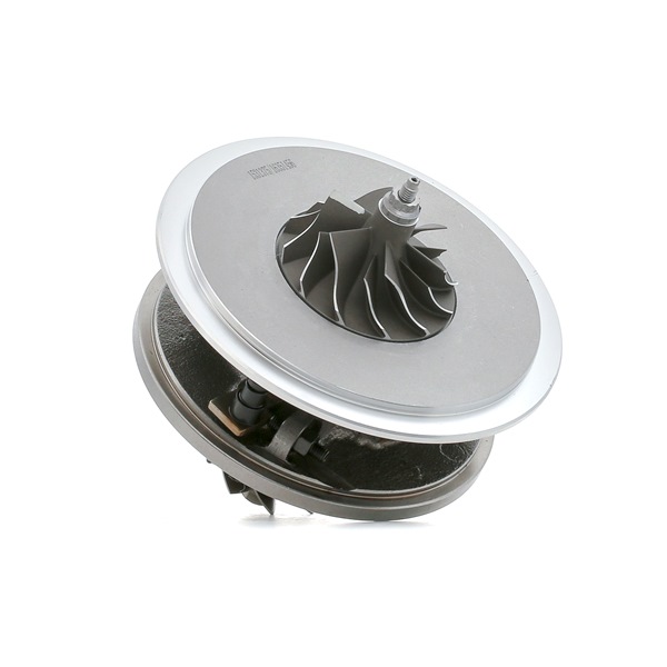 Numéro OEM 1441-1EC00C - Cartouche turbo 4973C0105 RENAULT, BMW, AUDI, MERCEDES-BENZ, OPEL