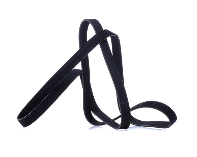 RIDEX 305P0490 VAUXHALL Antara (L07) v ribbed belt replacement cost