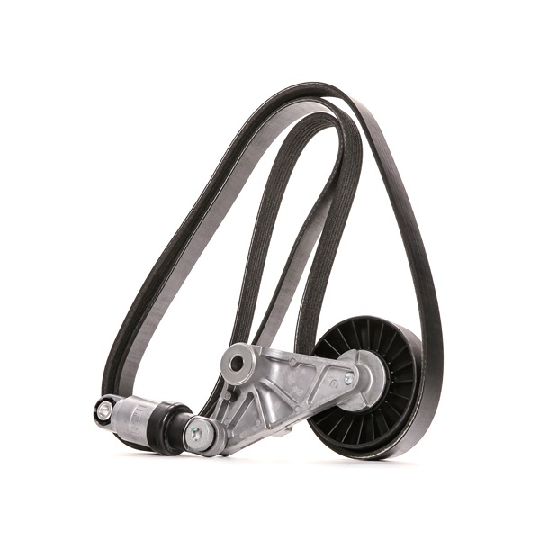 Número OEM 90 50 2734 - Jogo de correias trapezoidais estriadas 542R0625 OPEL, MAZDA, SAAB, VAUXHALL