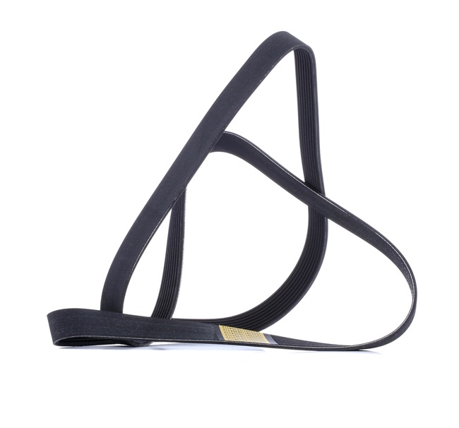 RIDEX | Correia Trapezoidal Estriada 305P0491 LAND ROVER Discovery III (L319) 2007 baratos online