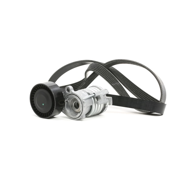 Kit Cinghie Poly-V 542R0630 RIDEX Volkswagen Polo V Hatchback (6R1, 6C1) 1.2 2012 70 CV