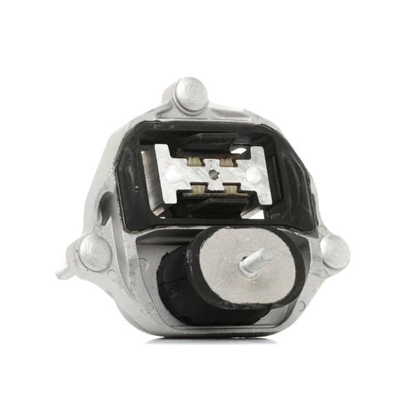 RIDEX 310T0443 Spannrolle, Keilrippenriemen BMW 2 Active Tourer (F45) 218i 136 PS Benzin 2020
