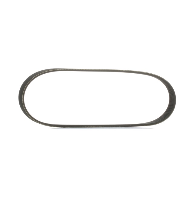 Correia trapezoidal estriada 305P0495 RIDEX PEUGEOT 207 Hatchback 1.4 16V 2008 95 cv