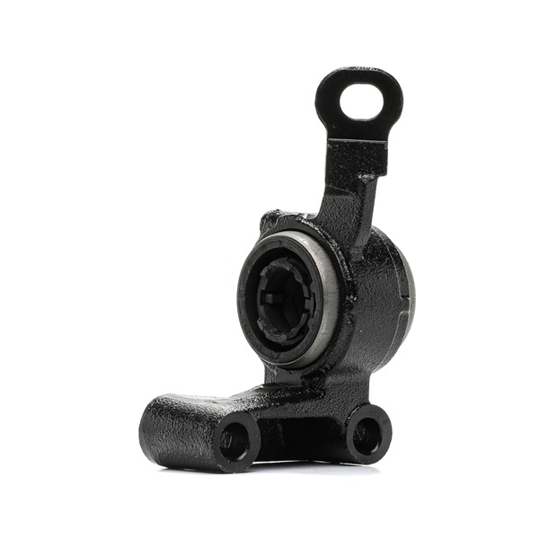 Querlenker-Gummilager 251T0764 RIDEX MINI Roadster (R59) Cooper (N16 B16 A) 2014 115 PS