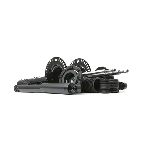 RIDEX | Schroefset 1185S0021 Volkswagen Multivan T5 (7HM, 7HN, 7HF, 7EF, 7EM, 7EN) 2007 goedkoop online