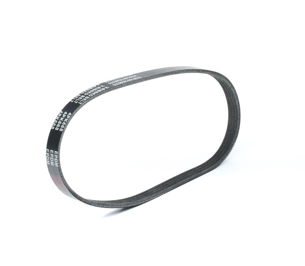 Numéro OEM 71769759 - Courroie Poly-V SKPB-0090356 FIAT, ALFA ROMEO, JEEP, CHRYSLER, LANCIA