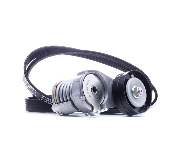 Kit Cinghie Poly-V 542R0647 RIDEX Volkswagen Golf IV Hatchback (1J1) 1.6 FSI 2002 110 CV