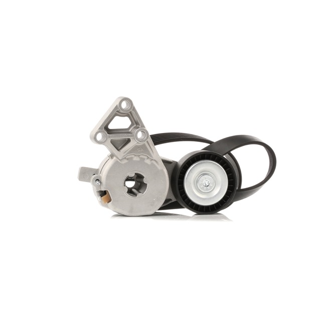 RIDEX 542R0649 courroie d'alternateur SEAT Altea XL (5P5, 5P8) 1.6 LPG 102CV 2013