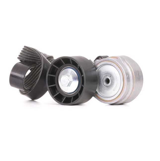 STARK | Kit de correias trapezoidais estriadas SKRBS-1200649 TOYOTA RAV4 III SUV (XA30) 2008 baratos online