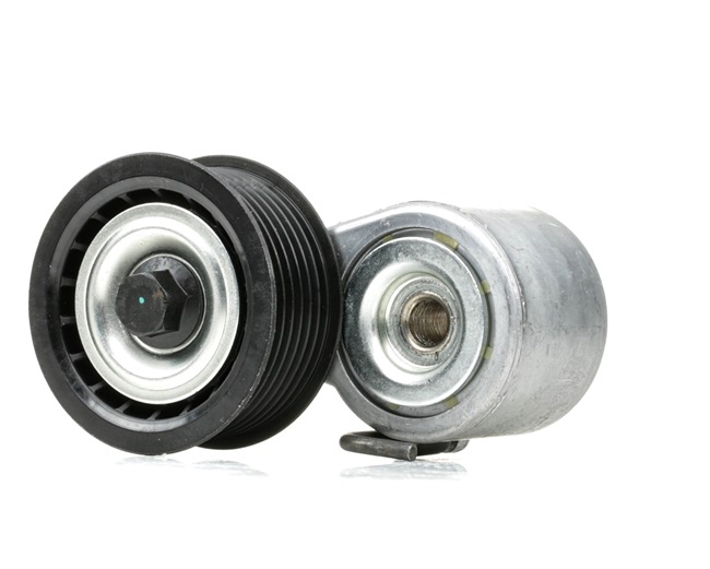 RIDEX | Strammehjul, kilerem Ø: 68,70mm 310T0464 AUDI A6 C6 Allroad (4FH) 2009 billig online