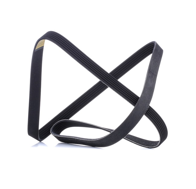 RIDEX 305P0508 Serpentine belt ALFA ROMEO 145 (930) 1.9 JTD 105 hp Diesel 2000