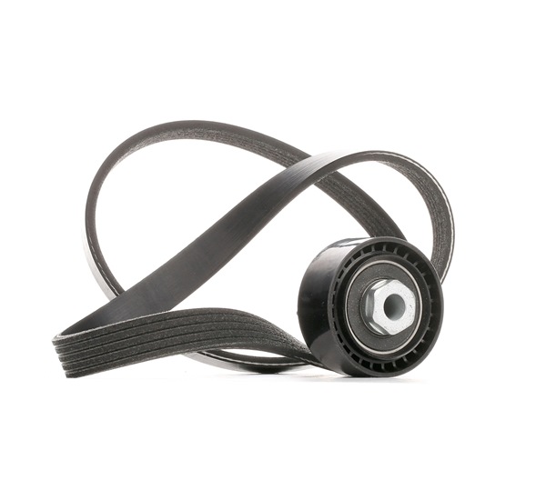 Numer OEM 77 01 477 539 - Zestaw paska klinowego wielorowkowego SKRBS-1200658 RENAULT, DACIA