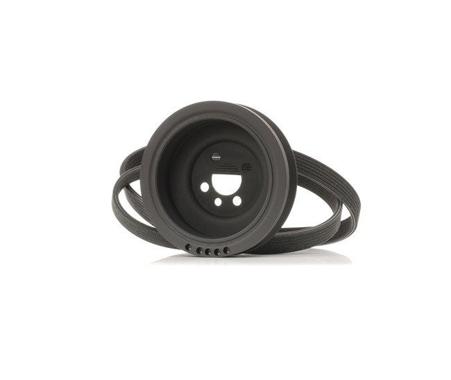 RIDEX 542R0661 serpentine belt SEAT Alhambra I (7V8, 7V9) 1.9 TDI 150hp 2005