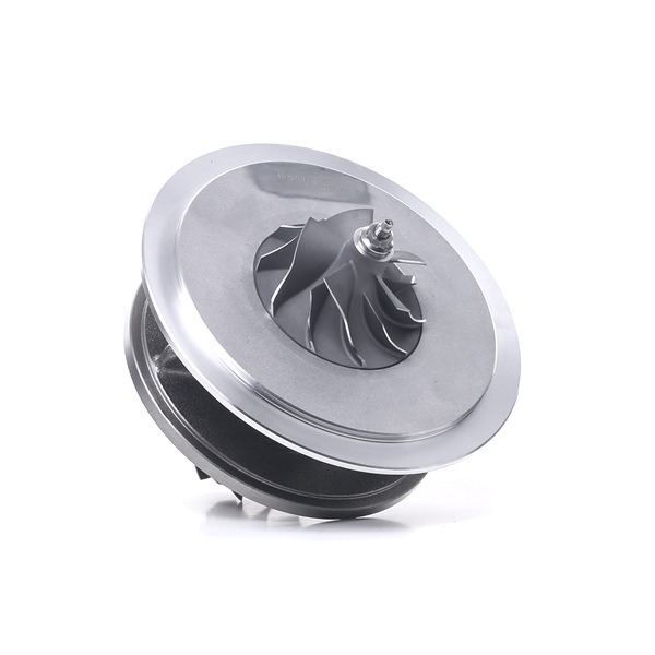 RIDEX | Turbolader med tetning 4973C0117 BMW 7 (E65, E66, E67) 2001 billige på nett