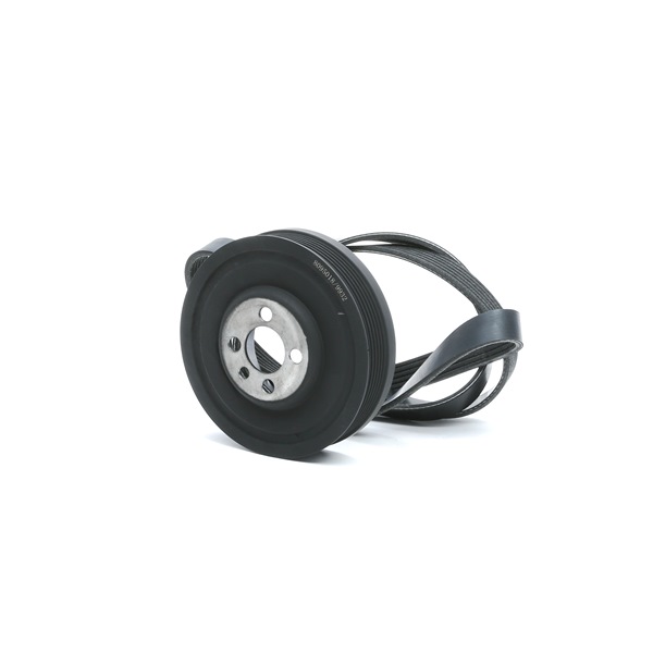 542R0662 RIDEX 038903137E V-Ribbed Belt Set