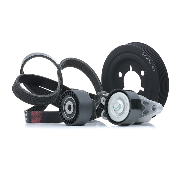RIDEX 542R0663 poly v-belt kit PEUGEOT 206 Hatchback (2A/C) 1.1 i 60hp 2003