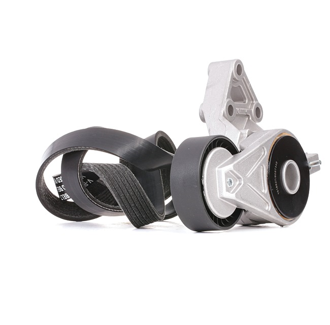 Número OEM 06A 903 315 E - Jogo de correias trapezoidais estriadas 542R0664 VW, AUDI, SEAT, SKODA, PORSCHE