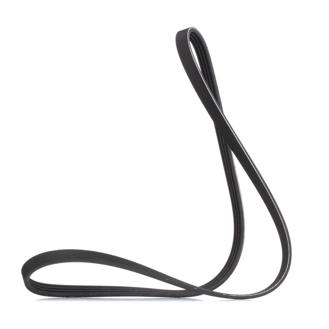 Correia trapezoidal estriada 305P0521 RIDEX RENAULT Clio I Hatchback 1.2 1991 58 cv