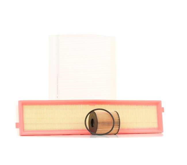 Kit de filtros 4055F0388 RIDEX MINI Hatchback (R50, R53) 1.6 Cooper S 2004 170 cv