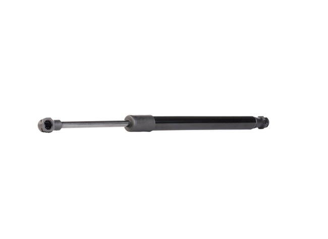 Pièces de carrosserie Peugeot Partner 1: Vérin de coffre RIDEX 219G1005