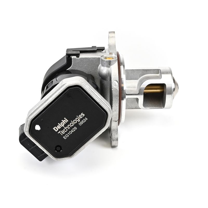 DELPHI EG10429-12B1 W245 egr valve replacement cost