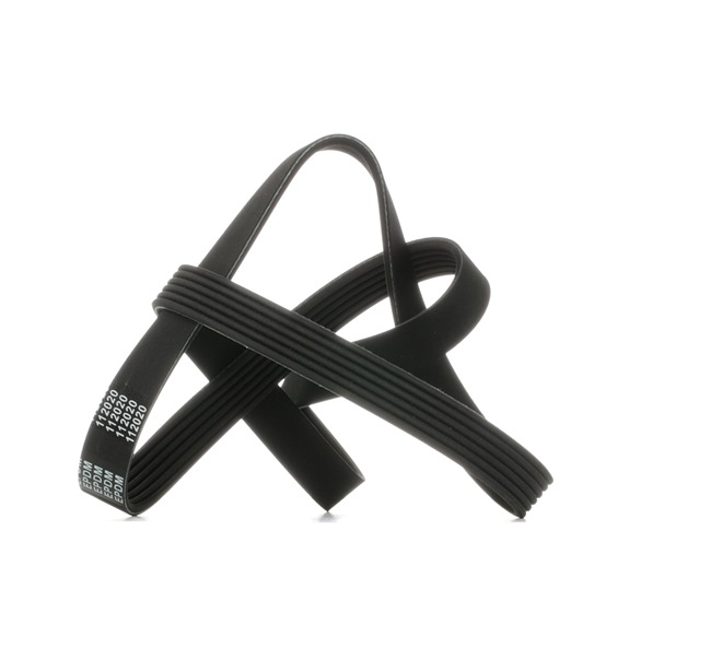 Numéro OEM 1 683 960 - Courroie Poly-V 6PK1244 PEUGEOT, CITROËN, FORD, OPEL, TOYOTA