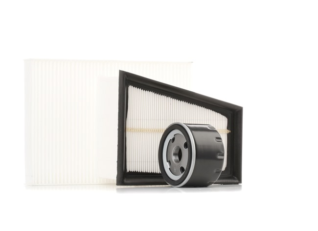 Filter set SKFS-18880557 STARK RENAULT Clio II Hatchback (BB, CB) 1.4 16V 2002 95 Pk