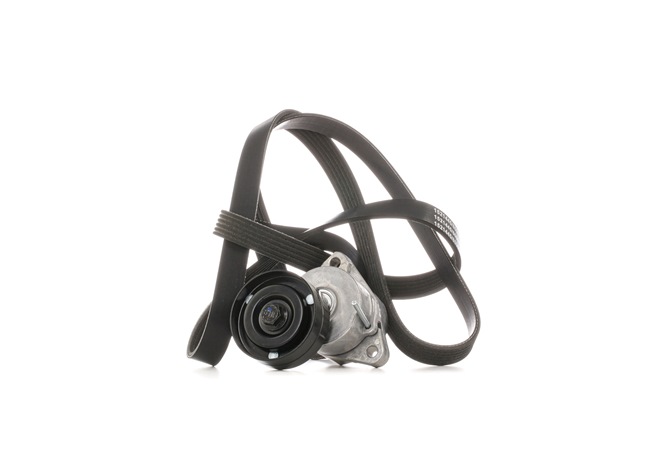 Número OEM 964 351 38 - Jogo de correias trapezoidais estriadas 542R0671 OPEL, NISSAN, KIA, CHEVROLET, CHRYSLER