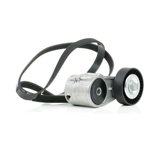 Numéro OEM 9192568 - Jeu de courroies trapézoïdales à nervures SKRBS-1200672 CITROËN, OPEL, TOYOTA, KIA, HYUNDAI