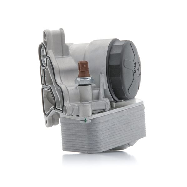 RIDEX 469O0127 oil filter housing BMW 4 Gran Coupe (F36) 428 i 245hp 2014