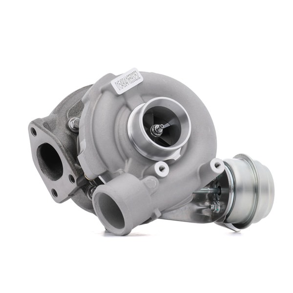 OEM nummer 2247691F - Turbolader SKCT-1191095 BMW