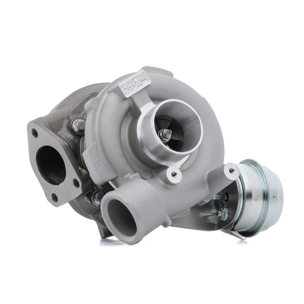 RIDEX | Turbosprężarka zawiera komplet uszczelek 2234C10601 BMW 7 (E38) 2001 tanie online