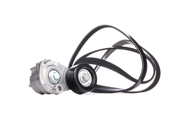 Número OEM 55 56 3925 - Jogo de correias trapezoidais estriadas SKRBS-1200681 BMW, VW, OPEL, AUDI, FORD