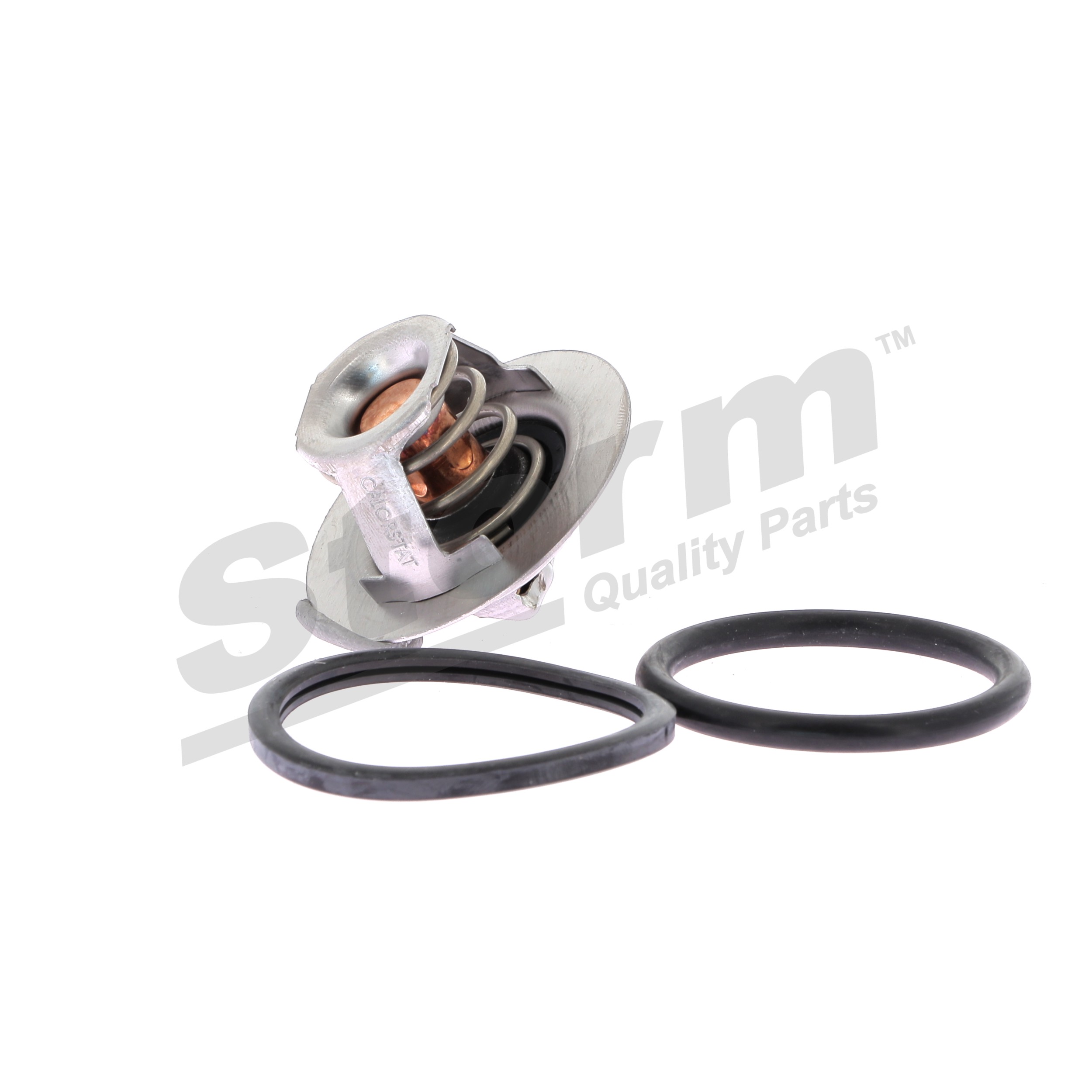 Kühlwasserthermostat 199024 STORM QUALITY PARTS RENAULT Megane Scenic (JA) 1.9 dT (JA0Y) 1998 94 PS