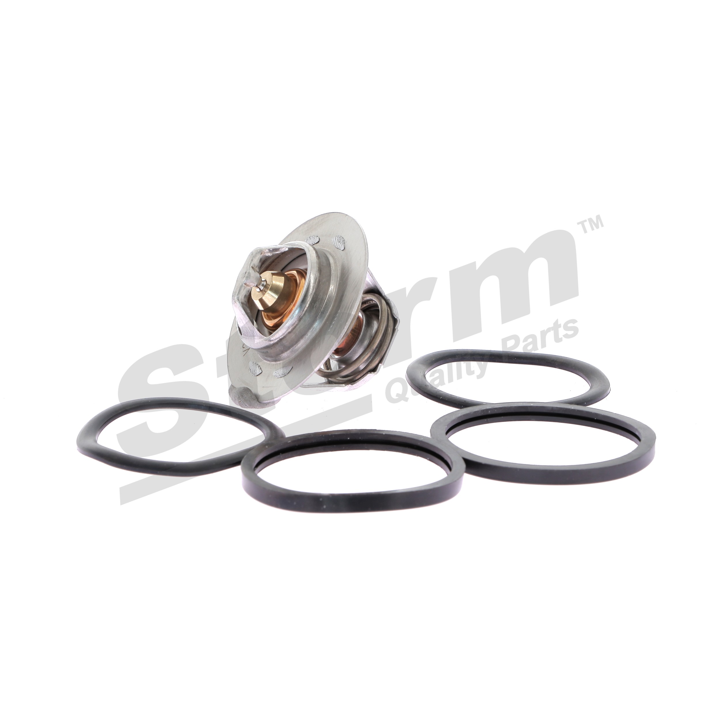 Kühlwasserthermostat 199026 STORM QUALITY PARTS RENAULT Megane Scenic (JA) 1.9 dT (JA0Y) 1999 94 PS
