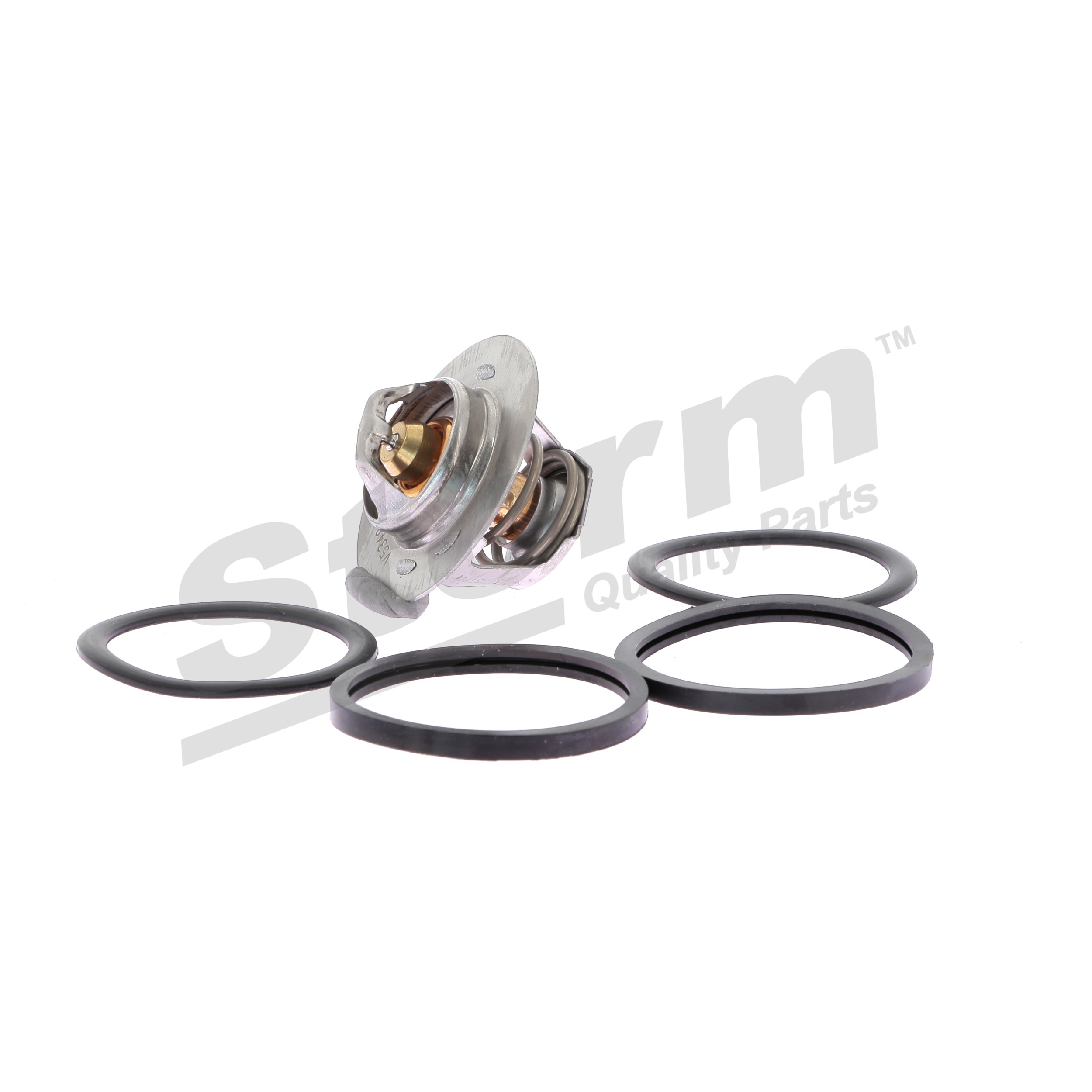 Kühlwasserthermostat 199027 STORM QUALITY PARTS RENAULT Megane Scenic (JA) 1.9 dT (JA0Y) 1997 94 PS
