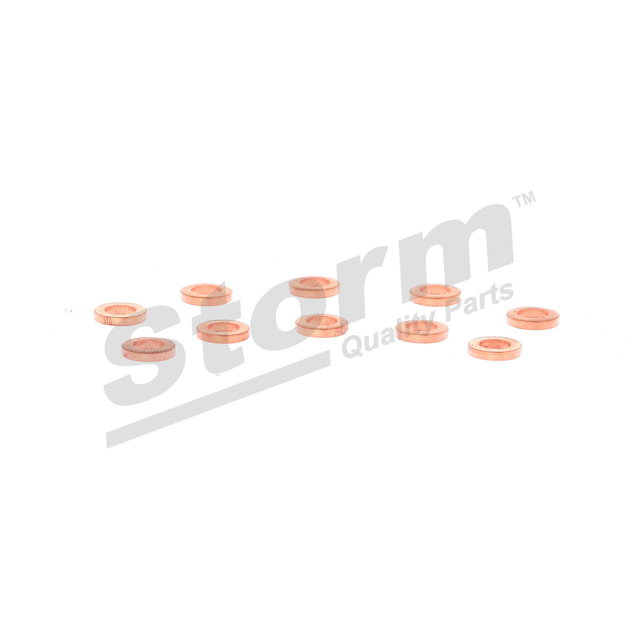 Pakking verstuiverhouder 46000000916 STORM QUALITY PARTS Volkswagen Passat B5 Variant (3B5) 2.5 TDI Syncro/4motion 1999 150 Pk