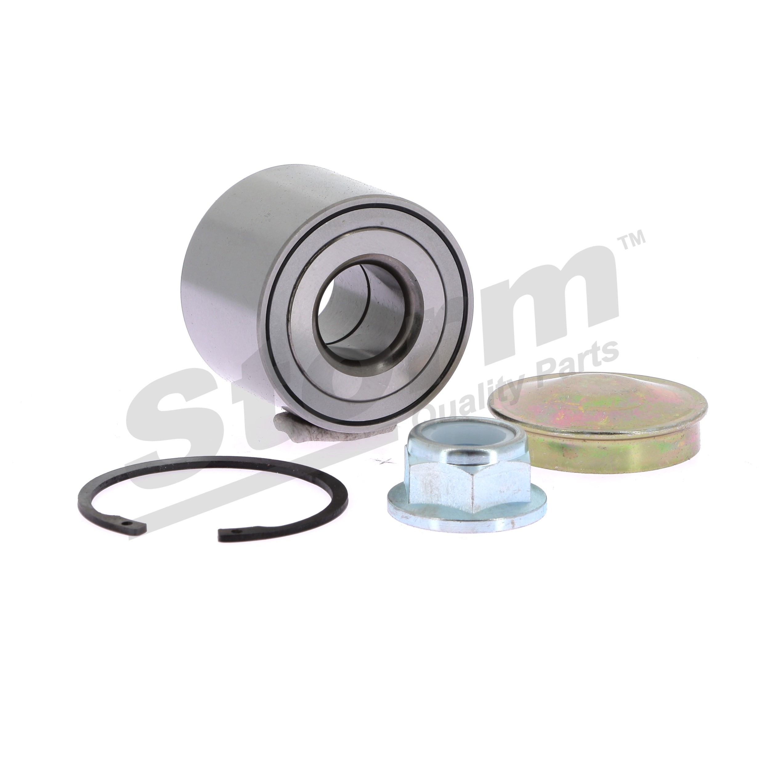 Hjullejesæt 87164 STORM QUALITY PARTS RENAULT Scénic I (JA0/1, FA0) 1.9 dCi RX4 2003 101 HK
