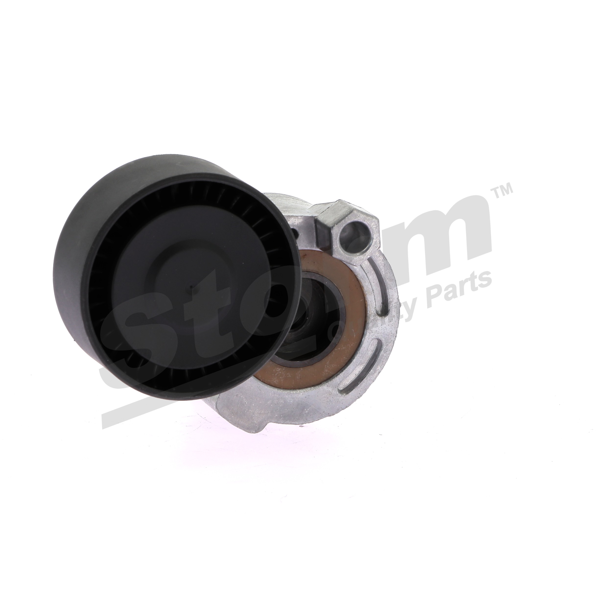 Rolo tensor, correia trapezoidal estriada 87228 STORM QUALITY PARTS RENAULT Clio II Hatchback (BB, CB) 1.2 16V (BB05, BB0W, BB11, BB27, BB2T, BB2U, BB2V, CB05,... 2012 75 cv