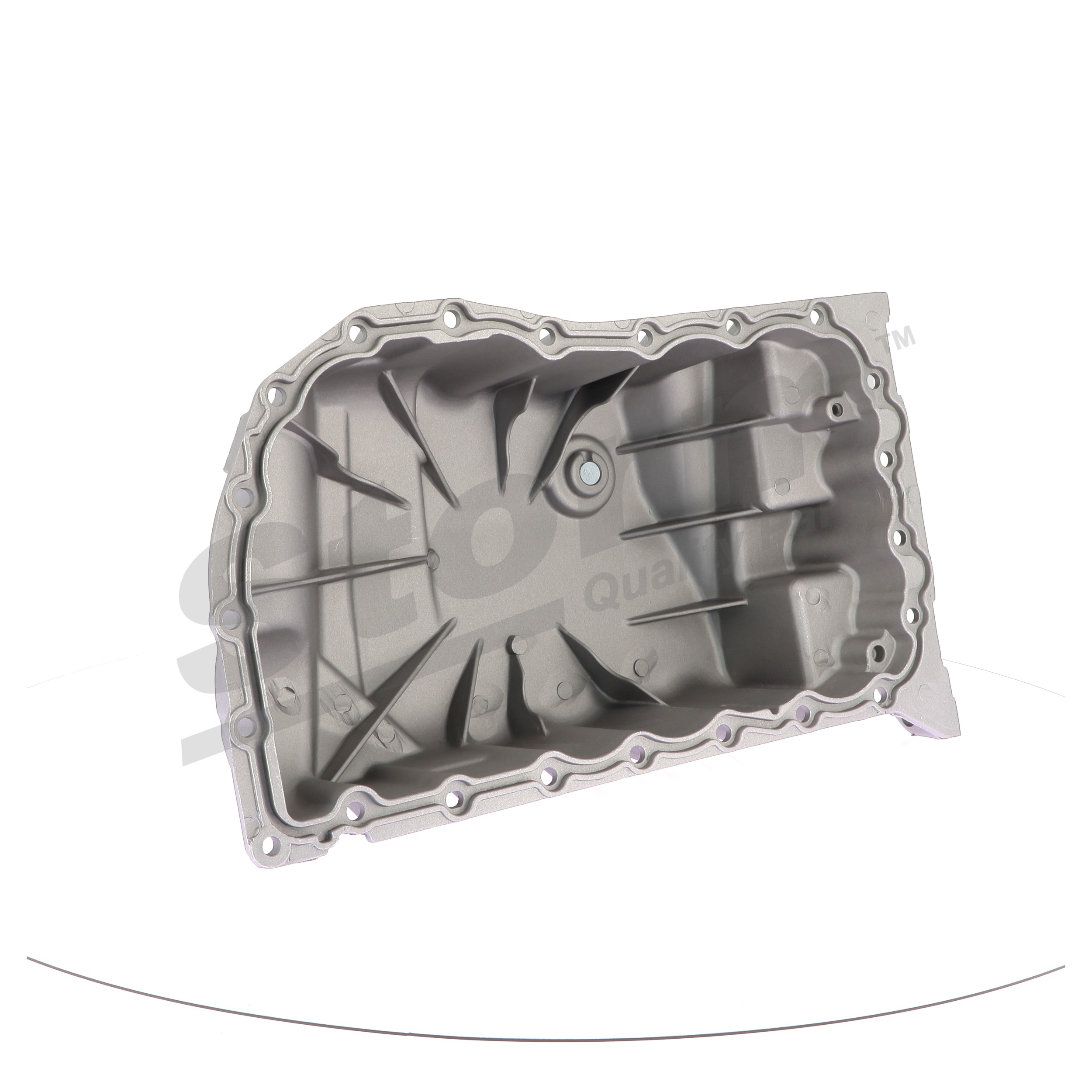 Bunnpanne 999006 STORM QUALITY PARTS RENAULT Scénic I (JA0/1, FA0) 2.0 16V (JA1D, JA17) 1999 140 hk