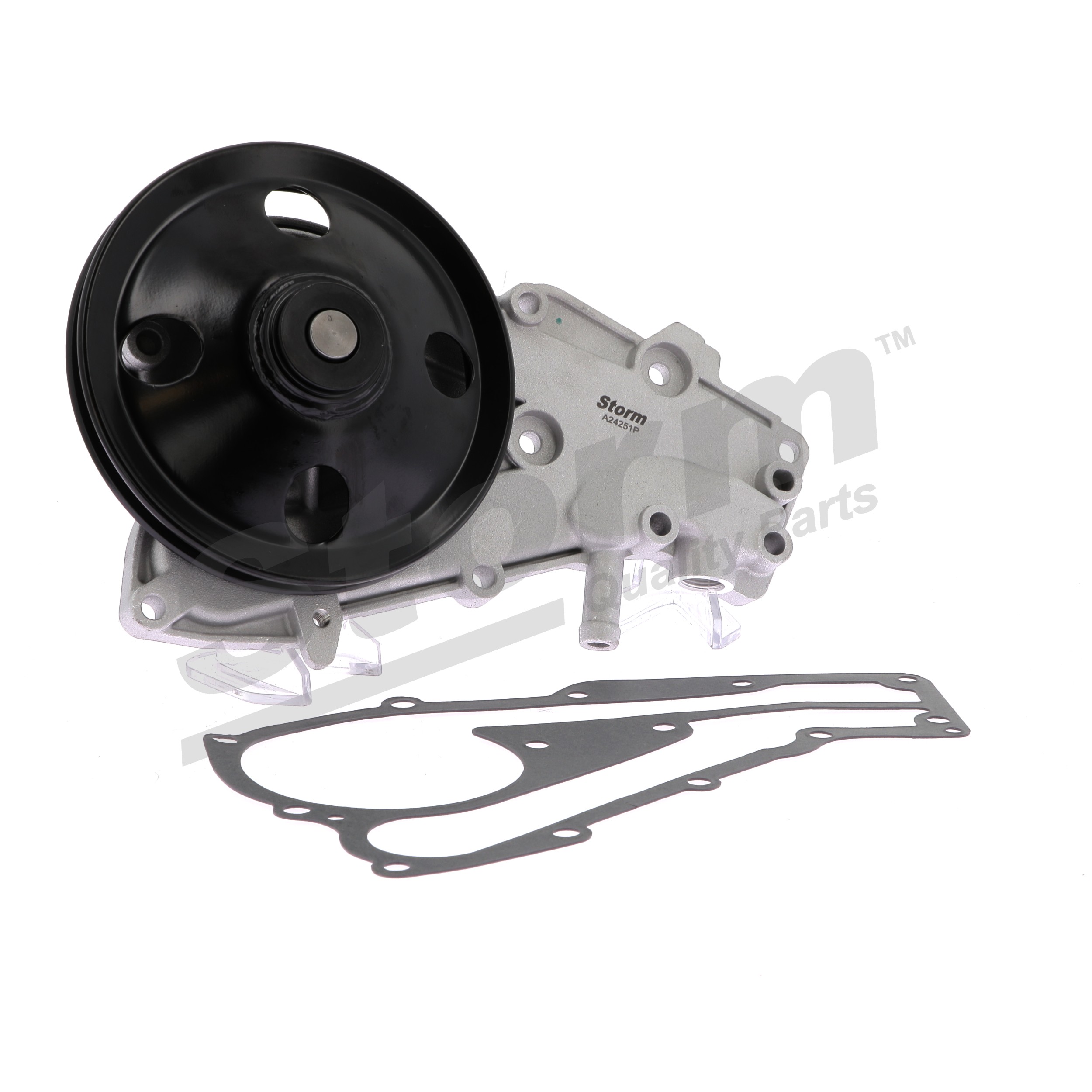 STORM QUALITY PARTS RST129 pompe à eau RENAULT Super 5 3/5 portes (B40, C40) 1.2 55CV 1988