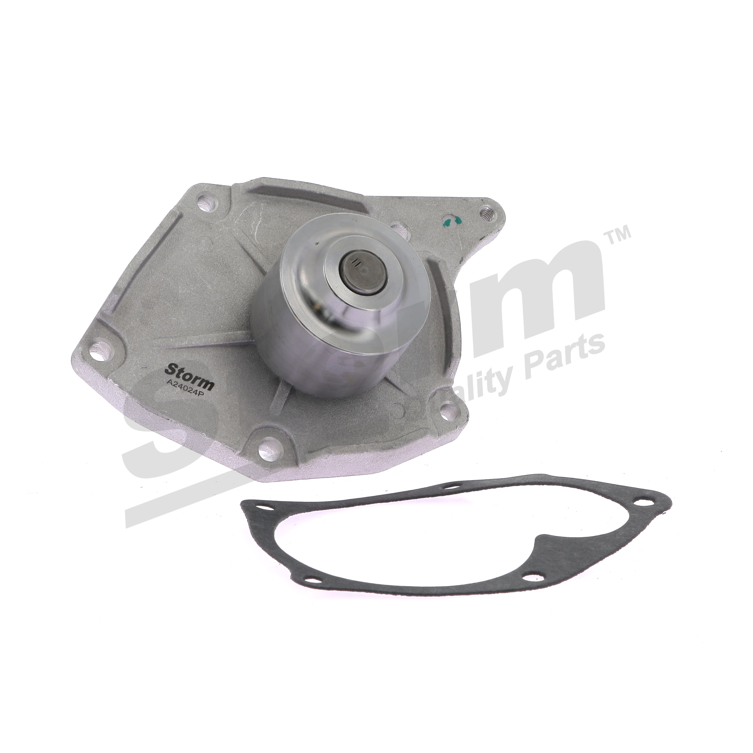 RST227 STORM QUALITY PARTS 7701479031 Water pump