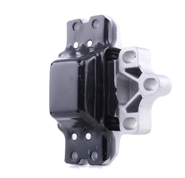 acquisto REINHOCH (RH11-0035) Supporto motore